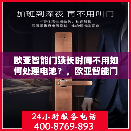 欧亚智能门锁长时间不用如何处理电池？，欧亚智能门锁长时间不用电池处理指南，维护与保养建议