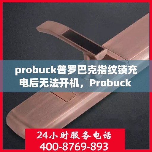 probuck普罗巴克指纹锁充电后无法开机，Probuck Prufa ProbiLOCK 600指纹锁，电池充电后无法开机问题解决指南