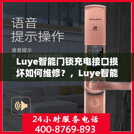 Luye智能门锁充电接口损坏如何维修？，Luye智能门锁充电接口维修指南，解决充电接口损坏问题