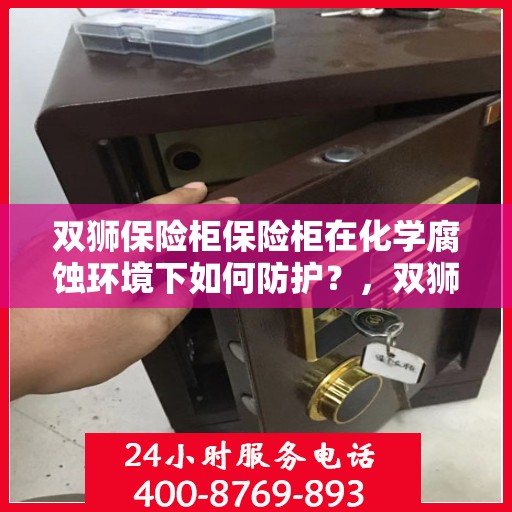 双狮保险柜保险柜在化学腐蚀环境下如何防护？，双狮保险柜在化学腐蚀环境下的防护策略与措施