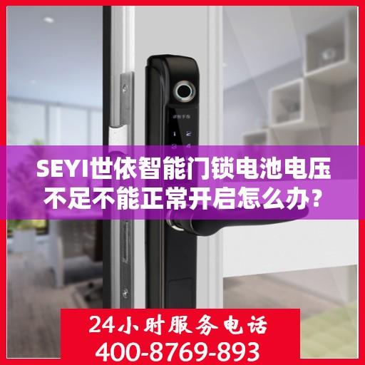 SEYI世依智能门锁电池电压不足不能正常开启怎么办？，SEYI世依智能门锁电池电压不足故障解决指南，快速应对不能正常开启问题