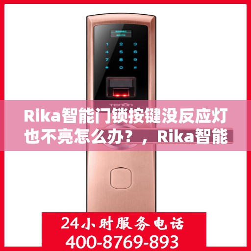 Rika智能门锁按键没反应灯也不亮怎么办？，Rika智能门锁故障解析，按键无反应、灯光不亮，快速解决指南