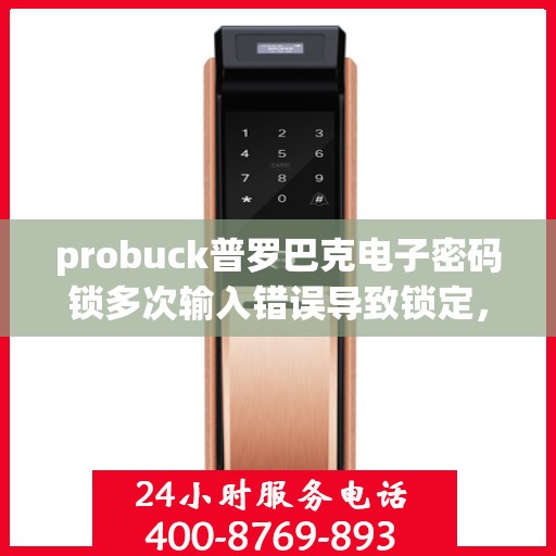 probuck普罗巴克电子密码锁多次输入错误导致锁定，Probuck Proutek Probaq Electronic Lock: Multiple Incorrect Password Attempts Result in Locking
