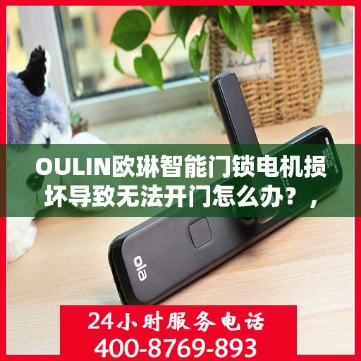 OULIN欧琳智能门锁电机损坏导致无法开门怎么办？，欧琳智能门锁电机故障导致无法开门，解决方法详解