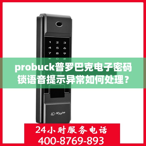 probuck普罗巴克电子密码锁语音提示异常如何处理？，解决Probuck普罗巴克电子密码锁的语音提示异常问题