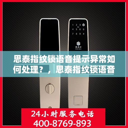 思泰指纹锁语音提示异常如何处理？，思泰指纹锁语音提示异常的解决方法