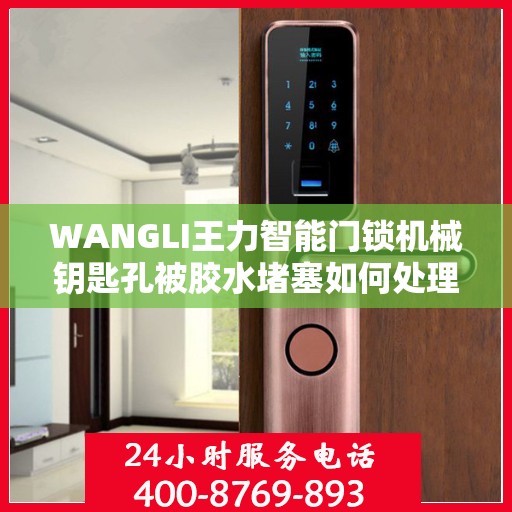 WANGLI王力智能门锁机械钥匙孔被胶水堵塞如何处理？，王力智能门锁机械钥匙孔堵塞处理指南，胶水堵塞如何应对？