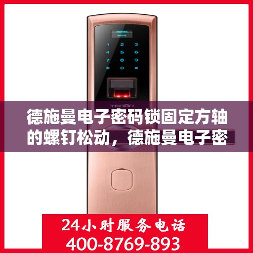 德施曼电子密码锁固定方轴的螺钉松动，德施曼电子密码锁，固定方轴的螺钉问题解决指南