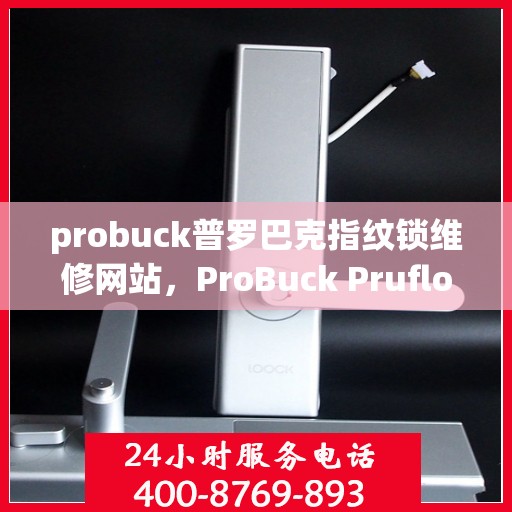 probuck普罗巴克指纹锁维修网站，ProBuck Pruflok Fingerprint Lock Repair Website