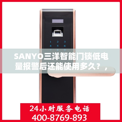 SANYO三洋智能门锁低电量报警后还能使用多久？，SANYO三洋智能门锁低电量警报后的续航时间及使用指南