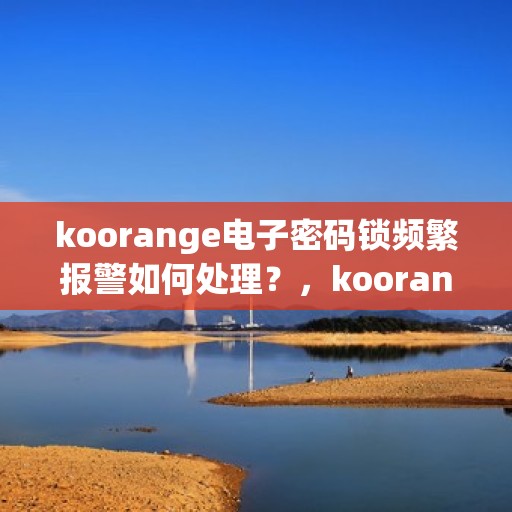 koorange电子密码锁频繁报警如何处理？，koorange电子密码锁频繁报警解决方案