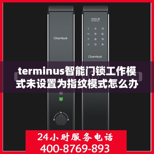 terminus智能门锁工作模式未设置为指纹模式怎么办？，Terminus智能门锁非指纹模式设置问题解析
