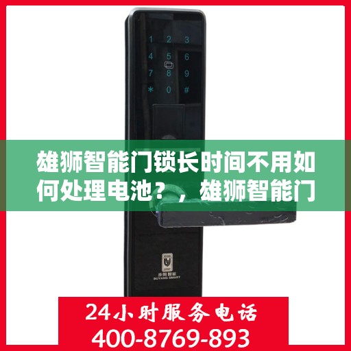雄狮智能门锁长时间不用如何处理电池？，雄狮智能门锁电池长时间不用维护指南，如何处理与保存电池？