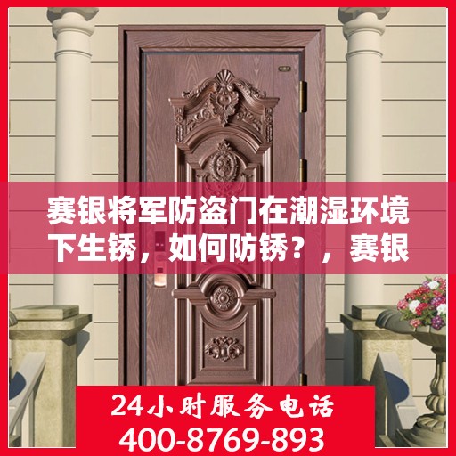 赛银将军防盗门在潮湿环境下生锈，如何防锈？，赛银将军防盗门防潮防锈攻略，应对潮湿环境的防锈策略探讨