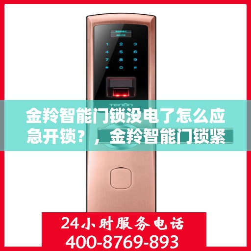 金羚智能门锁没电了怎么应急开锁？，金羚智能门锁紧急开锁指南，电池耗尽时的应急解决方案