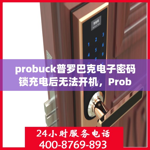 probuck普罗巴克电子密码锁充电后无法开机，Probuck Probaq Electronic Lock Fails to Power On After Charging