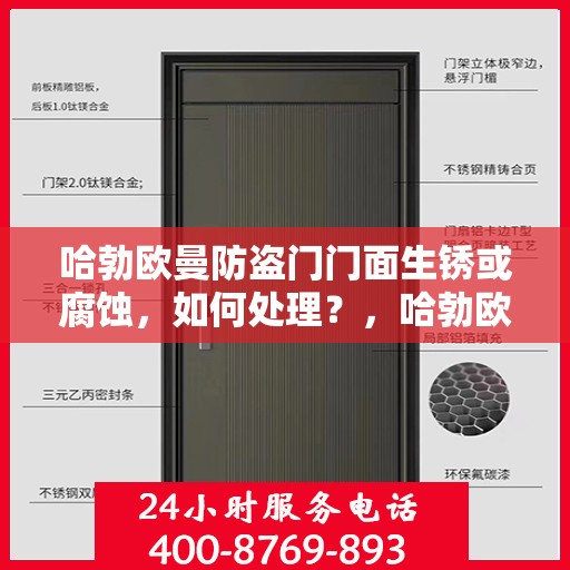 哈勃欧曼防盗门门面生锈或腐蚀，如何处理？，哈勃欧曼防盗门生锈腐蚀问题解决方案