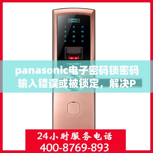 panasonic电子密码锁密码输入错误或被锁定，解决Panasonic电子密码锁的密码输入错误与锁定问题指南