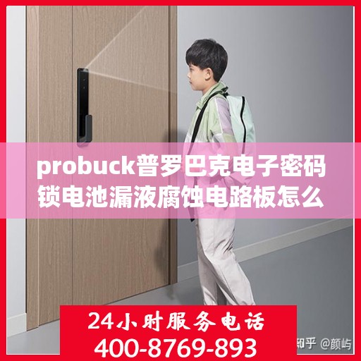 probuck普罗巴克电子密码锁电池漏液腐蚀电路板怎么修复？，如何修复probuck普罗巴克电子密码锁的电池漏液腐蚀问题？