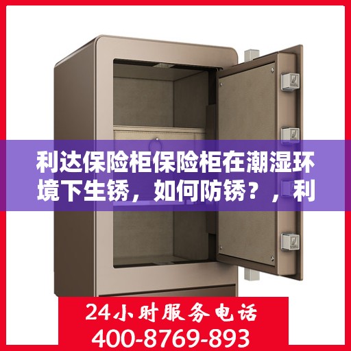 利达保险柜保险柜在潮湿环境下生锈，如何防锈？，利达保险柜防潮防锈攻略，应对潮湿环境的防锈措施