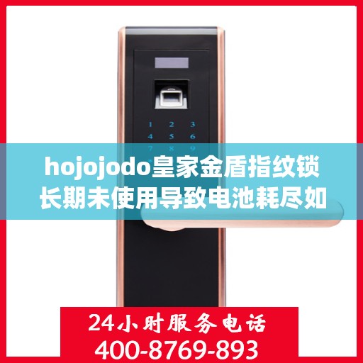 hojojodo皇家金盾指纹锁长期未使用导致电池耗尽如何激活？，Hojojodo皇家金盾指纹锁电池耗尽激活指南，长期未使用的解决方案