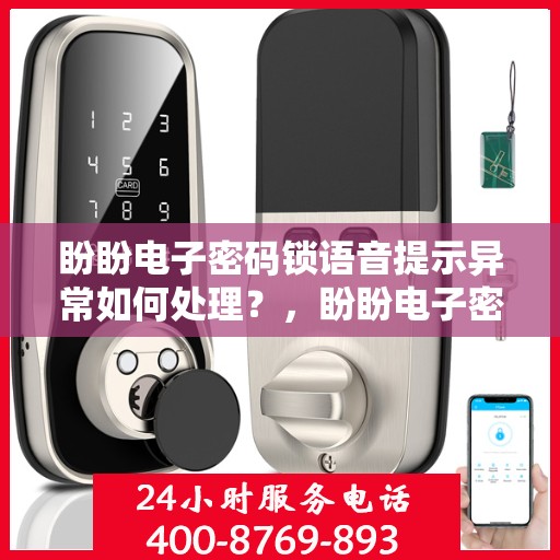 盼盼电子密码锁语音提示异常如何处理？，盼盼电子密码锁，解决密码锁语音提示异常的步骤指南