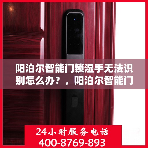 阳泊尔智能门锁湿手无法识别怎么办？，阳泊尔智能门锁湿手无法识别解决方案探讨