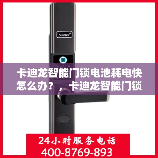 卡迪龙智能门锁电池耗电快怎么办？，卡迪龙智能门锁电池快速耗电解决方法指南