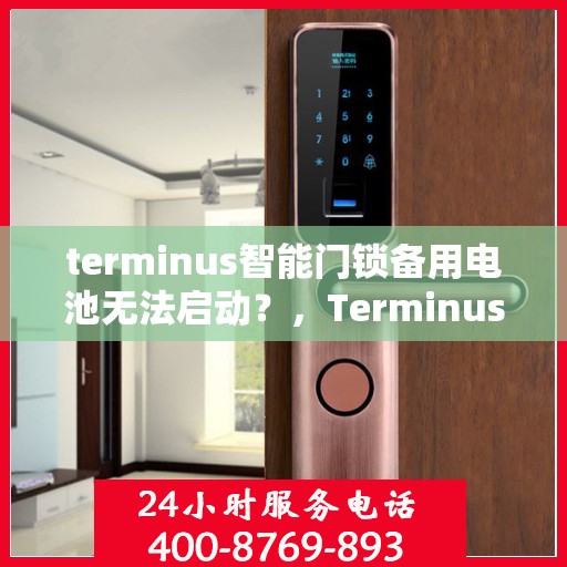 terminus智能门锁备用电池无法启动？，Terminus智能门锁备用电池失效问题解析