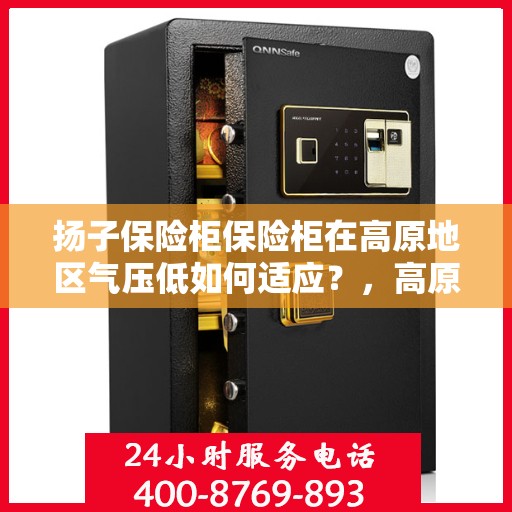 扬子保险柜保险柜在高原地区气压低如何适应？，高原地区气压低下的扬子保险柜应对策略解析