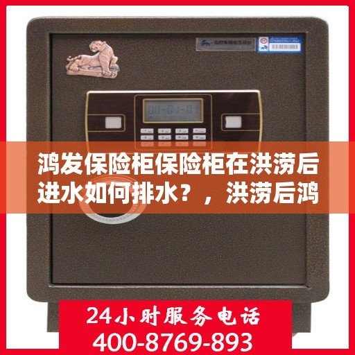 鸿发保险柜保险柜在洪涝后进水如何排水？，洪涝后鸿发保险柜进水应急排水指南