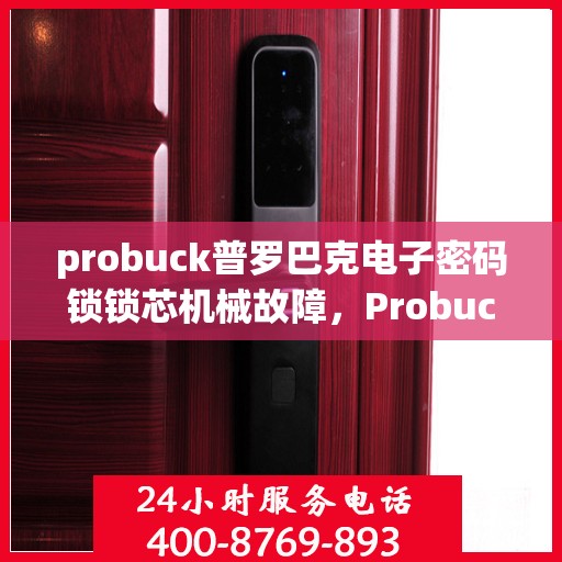 probuck普罗巴克电子密码锁锁芯机械故障，Probuck Proutek: Understanding and Solving Electronic Locks Mechanical Failures