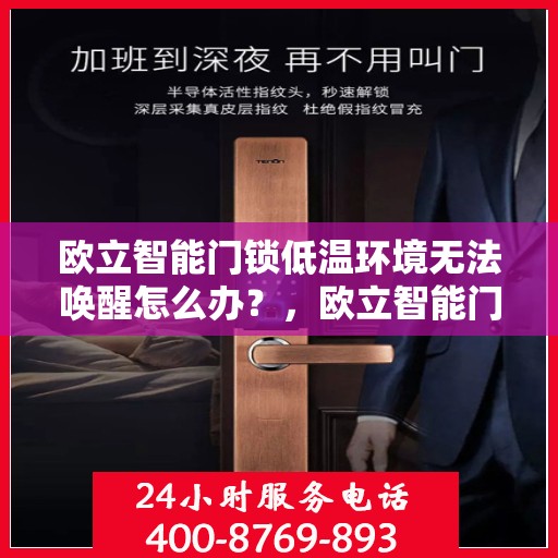 欧立智能门锁低温环境无法唤醒怎么办？，欧立智能门锁低温环境下的唤醒难题如何解决？