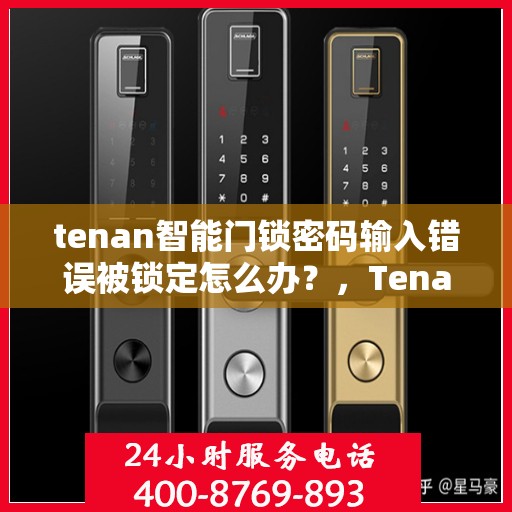 tenan智能门锁密码输入错误被锁定怎么办？，Tenan智能门锁密码错误锁定解决方案