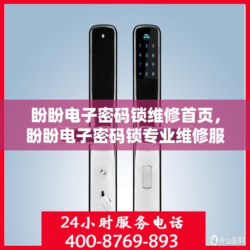 盼盼电子密码锁维修首页，盼盼电子密码锁专业维修服务介绍