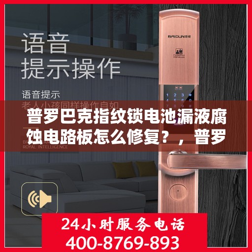 普罗巴克指纹锁电池漏液腐蚀电路板怎么修复？，普罗巴克指纹锁电池漏液腐蚀电路板的故障排除方法