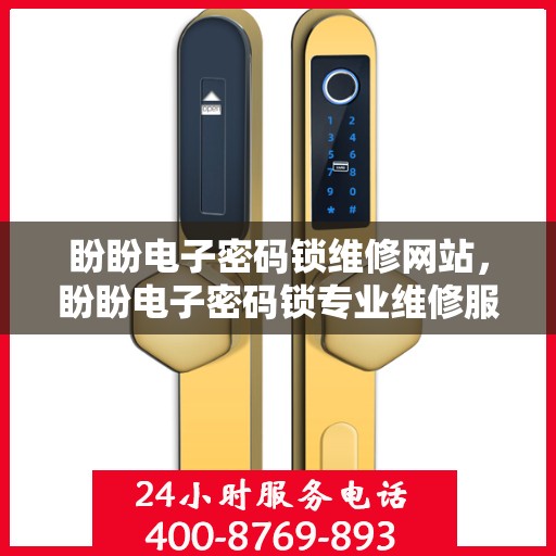 盼盼电子密码锁维修网站，盼盼电子密码锁专业维修服务平台
